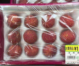 Quả xoài 1,7 triệu. vải thiều 400 ngàn/12 quả: Xót lòng dân Việt