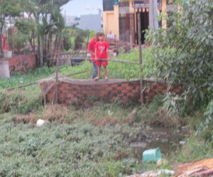 Chồng hờ truy sát vợ, quăng xuống ruộng rau