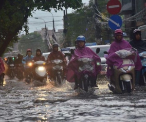 Hà Nội mưa to, cây đổ, đường ngập