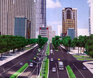 Lý do khiến ngàn cây xanh HN có thể bị đốn hạ