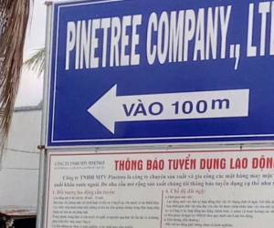 Nhiều công nhân bỏ ăn trưa vì phát hiện dòi trong khay cơm