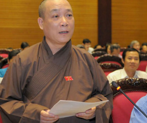 Đại biểu Quốc hội: "Nên cấm tuyệt đối việc chặt cây"