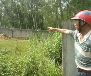 Bị cả ngàn con ong tấn công ở nghĩa địa, 14 người đi cấp cứu