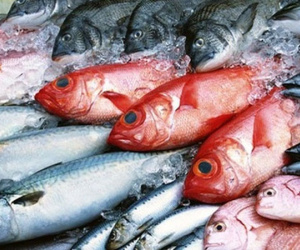 Hậu Formosa, vẫn còn khoảng 5000 tấn hải sản tồn kho chờ tiêu thụ