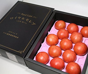 Cà chua Hoàng gia Nhật 1,6 triệu/kg: Đắt nhất thế giới, dân Việt cháy hàng