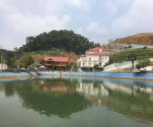 Yên Bái: Thanh tra việc chuyển đổi siêu tốc hơn 13.000m2 đất rừng