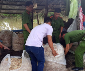 Bắt quả tang vụ dùng hóa chất tẩy trắng 200kg bắp chuối