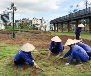 Công viên trăm tỉ nhiều chỗ bị xơ xác vì nạn trộm hoa