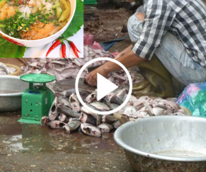 Video: Xem xong bạn còn muốn ăn bún cá?