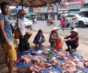 Bộ trưởng Trần Tuấn Anh: Tiêu thụ thịt lợn cần vượt qua hàng rào Trung Quốc