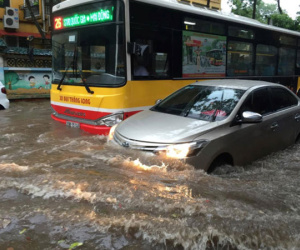 Nhiều tuyến phố ngập sâu, cây đổ sau mưa lớn ở Hà Nội