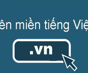 Tên miền ".vn" đã có thể sang tên đúng quy định pháp luật