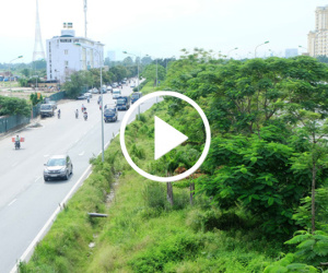 Video Ngừng chi 53 tỷ mỗi năm cho cắt cỏ, đại lộ Thăng Long giờ ra sao?