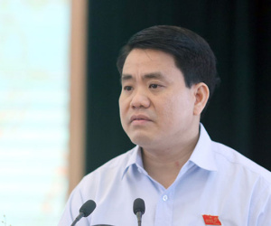 Chủ tịch Hà Nội: “Không thể trồng xà cừ cổ thụ trên các tuyến phố”