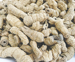 Ba kích làm tăng sức mạnh quý ông