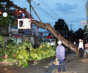 Cây bật gốc, nhiều nơi ở Sài Gòn cắt điện vì mưa lớn