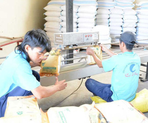Cấm xuất khẩu gạo là hết sức vô lý