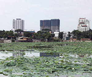 Hà Nội: Làm rõ thông tin loạt biệt thự “mọc” trên đất nông nghiệp Hồ Tây