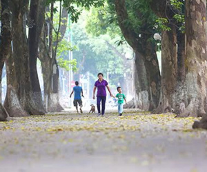 Miền Bắc chuyển mát vào đầu tuần tới