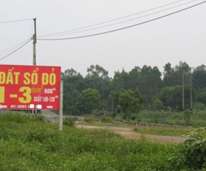 Khốn khổ vì mua đất Ba Vì "đón đầu" quy hoạch