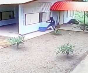 Tên trộm ngu ngốc chật vật đột nhập ga-ra mở toang hoác từ... cửa sổ