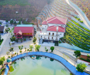 Thanh tra tài sản của Giám đốc Sở Tài nguyên - Môi trường Yên Bái