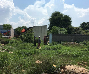 Thi thể phụ nữ bị phân huỷ trong khu mộ