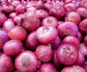 Những "kẻ thù" của tế bào ung thư