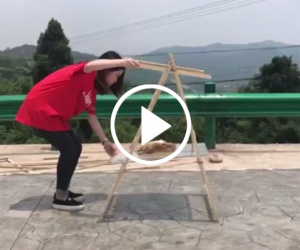 Video: Thánh nữ công sở nướng vịt cực ngon không cần bếp