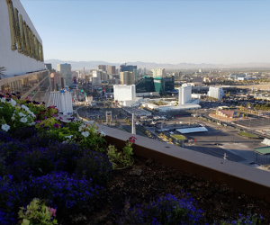 Las Vegas sắp trở thành đô thị thông minh tới mức… “viễn tưởng”