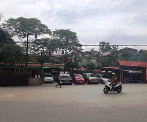 Ảnh minh họa