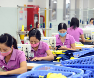 6 tháng đầu năm: Cứ 2 doanh nghiệp thành lập mới thì 1 tạm thời "chết"