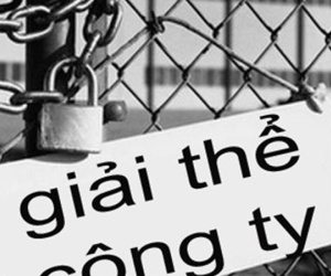 Mỗi tháng gần 7.300 doanh nghiệp đóng cửa, giải thể