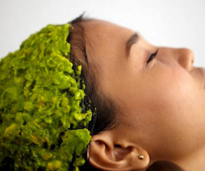 Đang mùa bơ, tranh thủ mua về ủ tóc, đắp mặt, đắp toàn thân luôn chị em