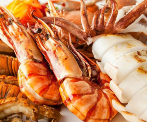 Vỡ bàng quang vì nôn quá nhiều khi ngộ độc hải sản