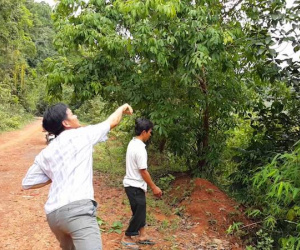 Một người phụ nữ rơi xuống giếng tử vong khi đang hái mít