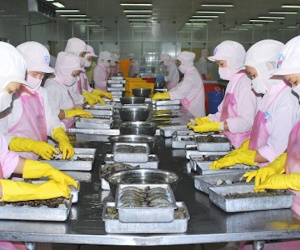 DN thực phẩm bị “hành”bởi Nghị định không có trong Luật?