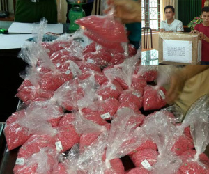 Bắt hai đối tượng vận chuyển 300.000 viên ma túy tổng hợp