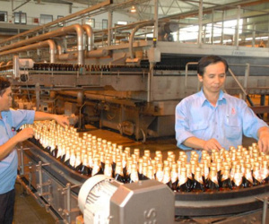 Bán hết vốn Nhà nước tại Sabeco, Habeco trong năm nay