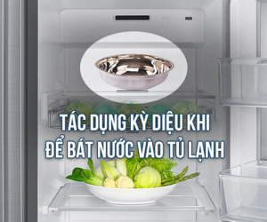 Để 1 bát nước trong tủ lạnh, không chỉ tiết kiệm điện, mà còn có những tác dụng bất ngờ