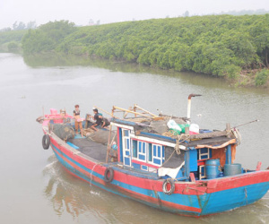 Đi trú bão, tàu hàng và 13 người mất tích trong đêm