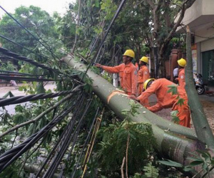 Điện lực thiệt hại hàng chục tỷ đồng sau bão số 2 Talas