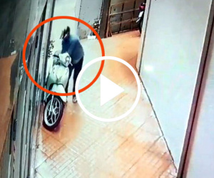 Clip: Trộm "hì hục" cuỗm xe SH