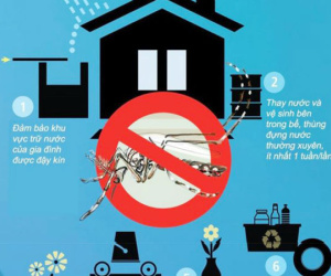 10 việc cần làm để giữ vệ sinh nhà phòng sốt xuất huyết