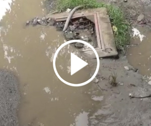 Video Nguy hiểm rình rập từ công thoát nước bị bung nắp