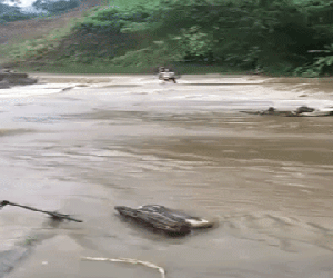 Clip: Liều lĩnh chạy xe máy qua đập tràn, người đàn ông bị nước cuốn trôi