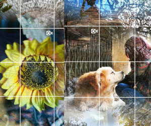 Instagram ghép ảnh sáng tạo của 9X Hà thành