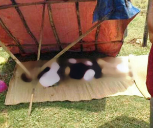 Thi thể người phụ nữ trong lùm cây bãi bồi sông Chu