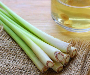 Bỏ ra 5 nghìn mua bó sả về chưng nước, mẹo hay cho các chị em da dầu và dễ nổi mụn