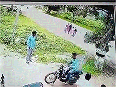 Video Khoảnh khắc cây xanh đột ngột đổ, đè lên đám đông đi đường